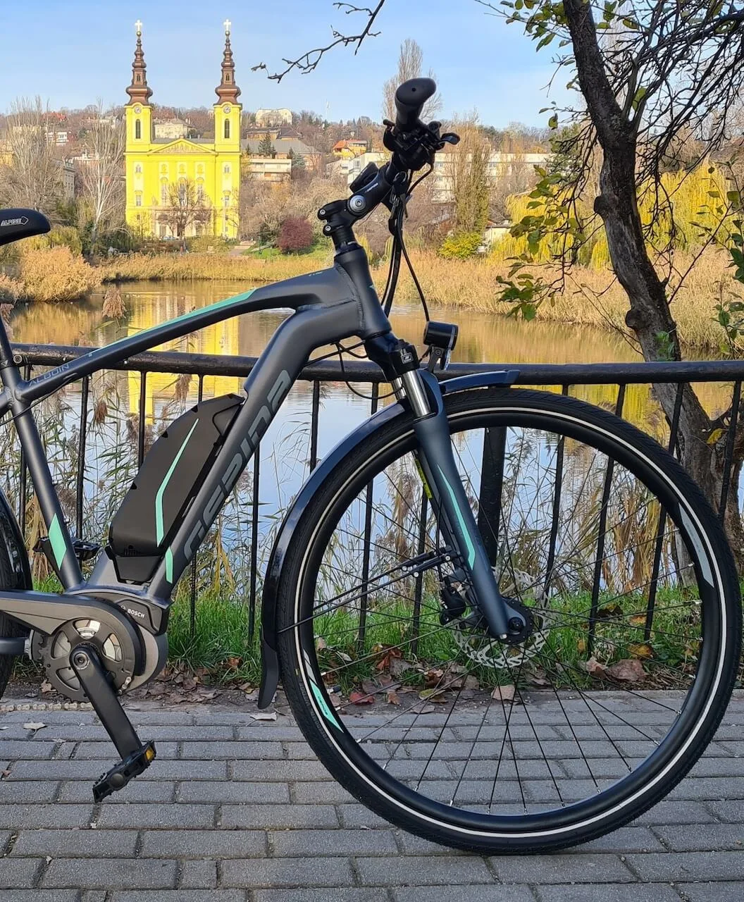 gepida ebike berles alboin man 02 gepida ebike berles alboin man 02