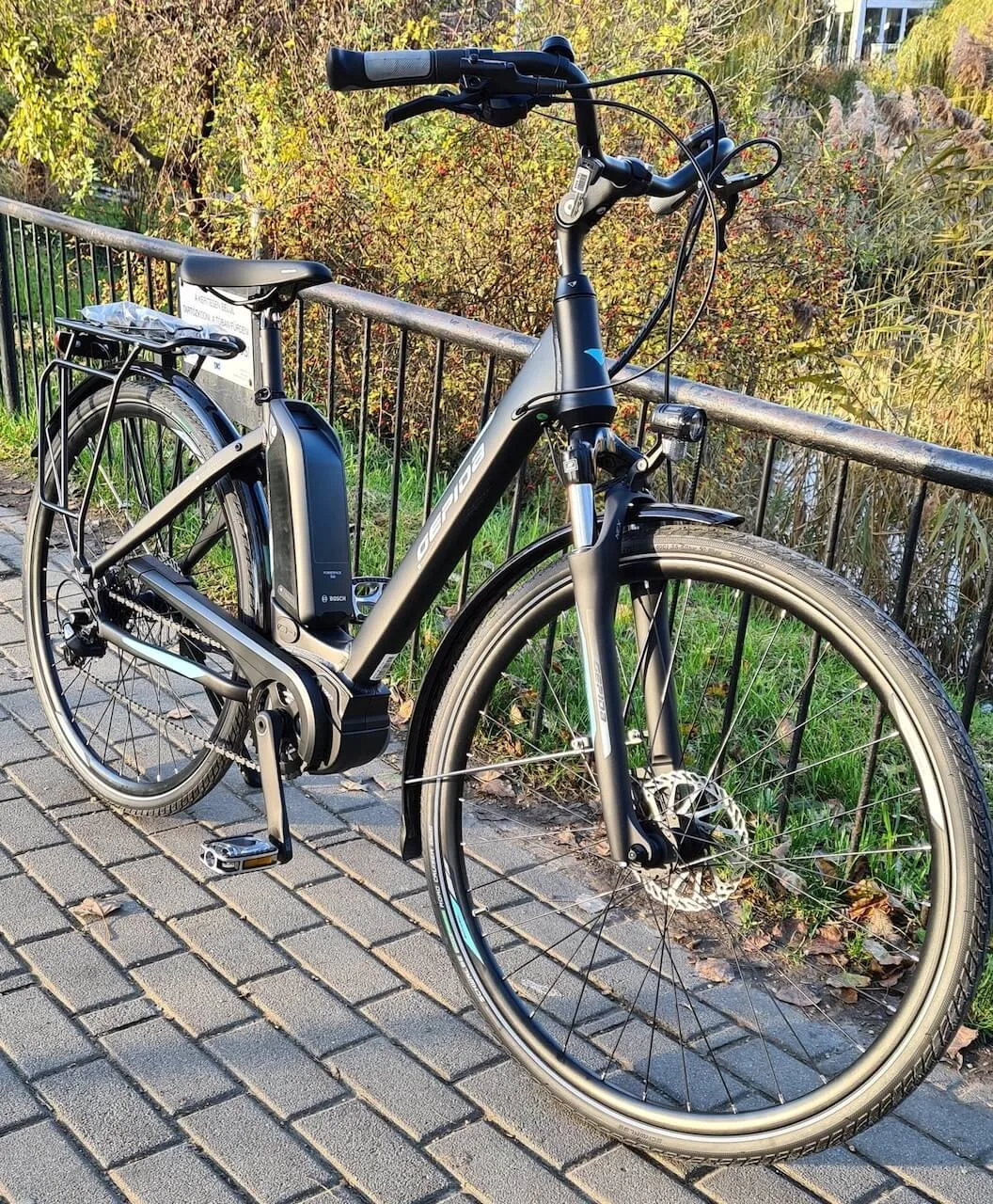 gepida ebike berles reptila 1000 gepida ebike berles reptila 1000