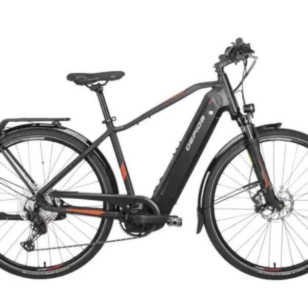 Gepida ALBOIN PRO MAN XT 12 elektromos trekking kerékpár
